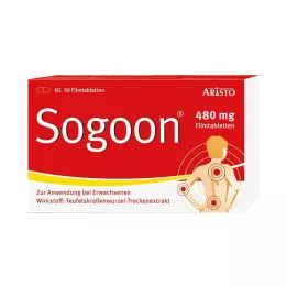 SOGOON 480 mg film -gecoate tablets, 50 uur