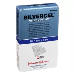 SILVERCEL Hydroalginaatverband 5x5 cm, 10 stuks