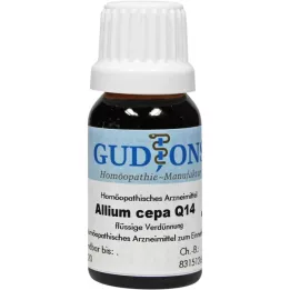 ALLIUM CEPA Q 14-oplossing, 15 ml