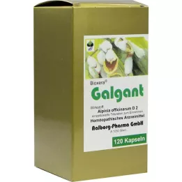 GALGANT Kapseln, 120 st