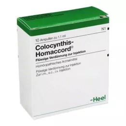 COLOCYNTHIS HOMACCORD Ampoules, 10 st