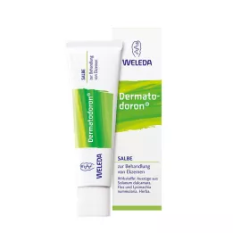 DERMATODORON Zalf, 25 g