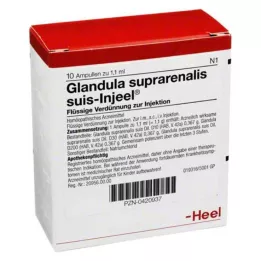 GLANDULA SUPRARENALIS SUIS Injeel Ampoules, 10 st