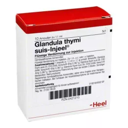 GLANDULA THYMI SUIS Injeel Ampoules, 10 st