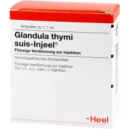 GLANDULA THYMI SUIS Injeel ampoules, 100 st