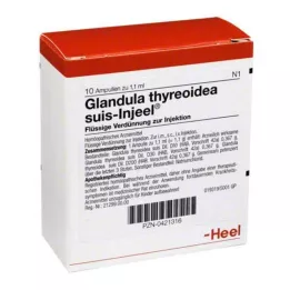GLANDULA THYREOIDEA SUIS Injeel Ampoules, 10 st