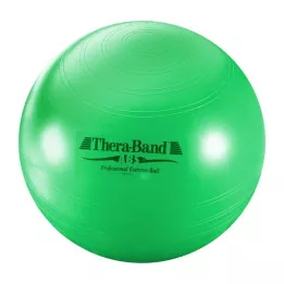 Thera-band ABS Gymnastische bal 65 cm groen, 1 st