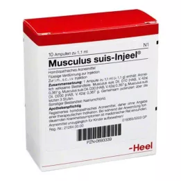MUSCULUS SUIS Injeel ampoules, 10 st