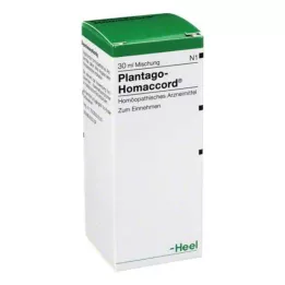 PLANTAGO HOMACCORD Druppels, 30 ml
