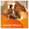 VOLTAREN Dolo 25 mg omhulde tabletten, 20 stuks