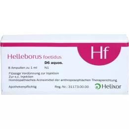 HELLEBORUS FOETIDUS water. D 6 ampullen, 8X1 ml