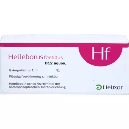 HELLEBORUS FOETIDUS water. D 12 ampullen, 8X1 ml