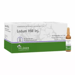 LEDUM HM Injecteer ampullen, 50 stuks