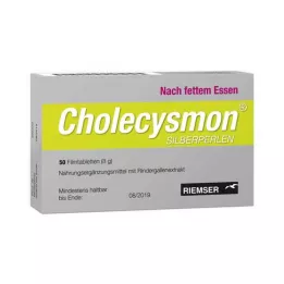 CHOLECYSMON Zilveren kralen, 50 stuks