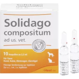 Solidago Compositum Ad us. Dierenarts., 10 st