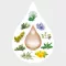 AMARA Druppels Verdunning, 50 ml