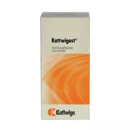 KATTWIGAST Tabletten, 100 st