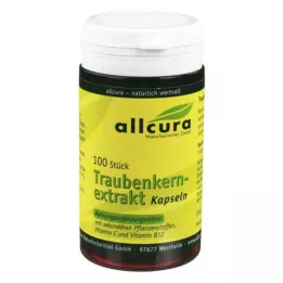 TRAUBENKERNEXTRAKT capsules, 100 stuks
