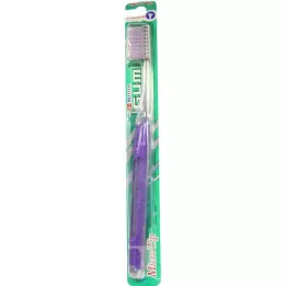 GUM Microtip Compact Association, 1 st