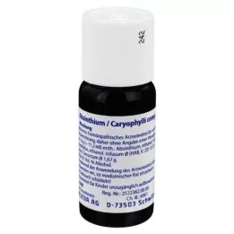 ABSINTHIUM/CARYOPHYLLI comp. mengsel, 50 ml
