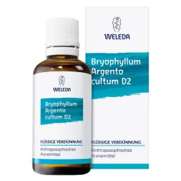 BRYOPHYLLUM ARGENTO cultum D 2 Verdunning, 50 ml