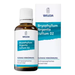 BRYOPHYLLUM ARGENTO cultum D 3 Verdunning, 50 ml
