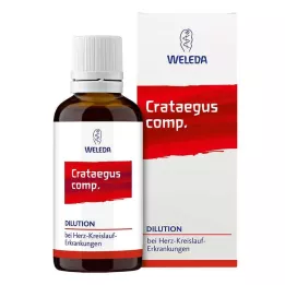 CRATAEGUS COMP.Verdunning, 50 ml