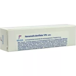 HAMAMELIS DESTILLATA 10% zalf, 25 g