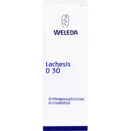 Lachese D 30 Verdunning, 20 ml