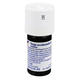 THUJA OCCIDENTALIS Urtton, 20 ml