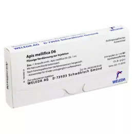 APIS MELLIFICA D 6 ampullen, 8 stuks