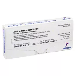 ARNICA PLANTA TOTA RH D 6 ampullen, 8x1 ml