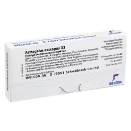 ASTRAGALUS EXSCAPUS D 3 ampullen, 8X1 ml