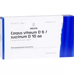 Corpus Vitreueum D 6 / Succinum D10 AA-ampullen, 8x1 ml