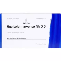 Equisetum Arven RH D3, 8 st