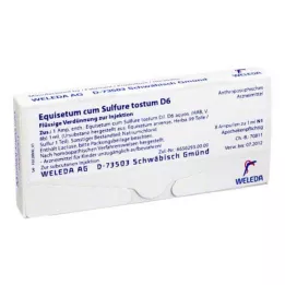 EQUISETUM CUM Zwavel tostum D 6 ampullen, 8X1 ml
