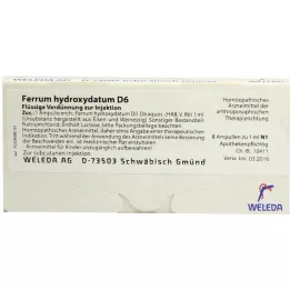 FERRUM HYDROXYDATUM D 6 ampullen, 8x1 ml