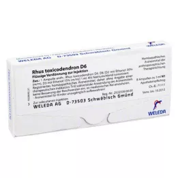 RHUS TOXICODENDRON D 6 ampullen, 8X1 ml