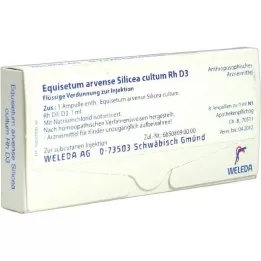 EQUISETUM ARVENSE Silicea cultum D 3 ampullen, 8 st
