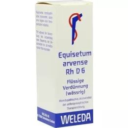 EQUISETUM ARVENSE RH D 6 verdunning, 20 ml