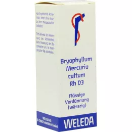 BRYOPHYLLUM MERCURIO cultum Rh D 3 Verdunning, 20 ml