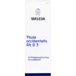 Thuja Occidentalis RH D3, 20 ml