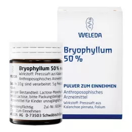 BRYOPHYLLUM 50% poeder voor oraal gebruik, 50 g