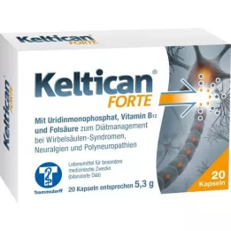 KELTICAN Forte Capsules, 20 st