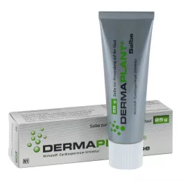 DERMAPLANT Zalf, 25 g