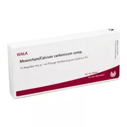 MESENCHYM/CALCIUM carbonicum comp. ampullen, 10X1 ml