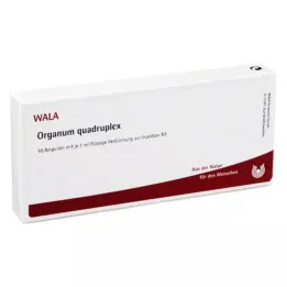 ORGANUM quadruplex ampullen, 10X1 ml