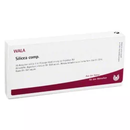 SILICEA COMP.Ampullen, 10X1 ml
