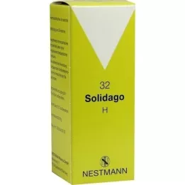 SOLIDAGO H 32 druppels, 50 ml