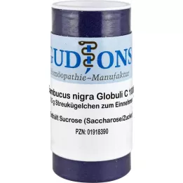 SAMBUCUS NIGRA C 1000 bolletjes voor eenmalig gebruik, 0,5 g